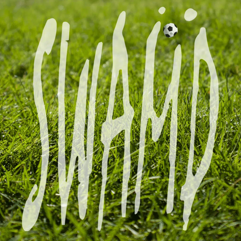 Swamp Freiburg Logo Fussball